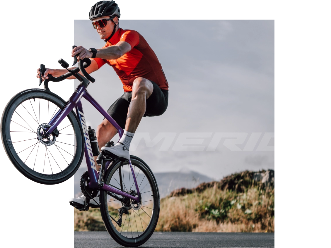 美利達工業股份有限公司