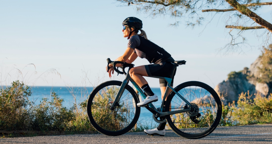 美利達工業股份有限公司