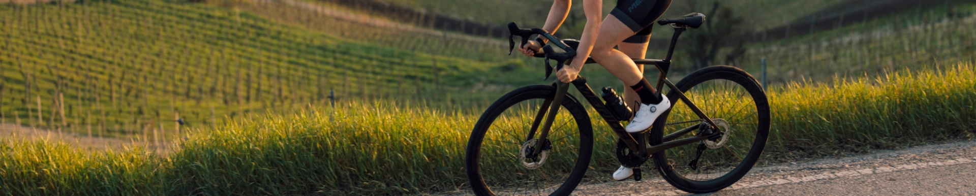 美利達工業股份有限公司