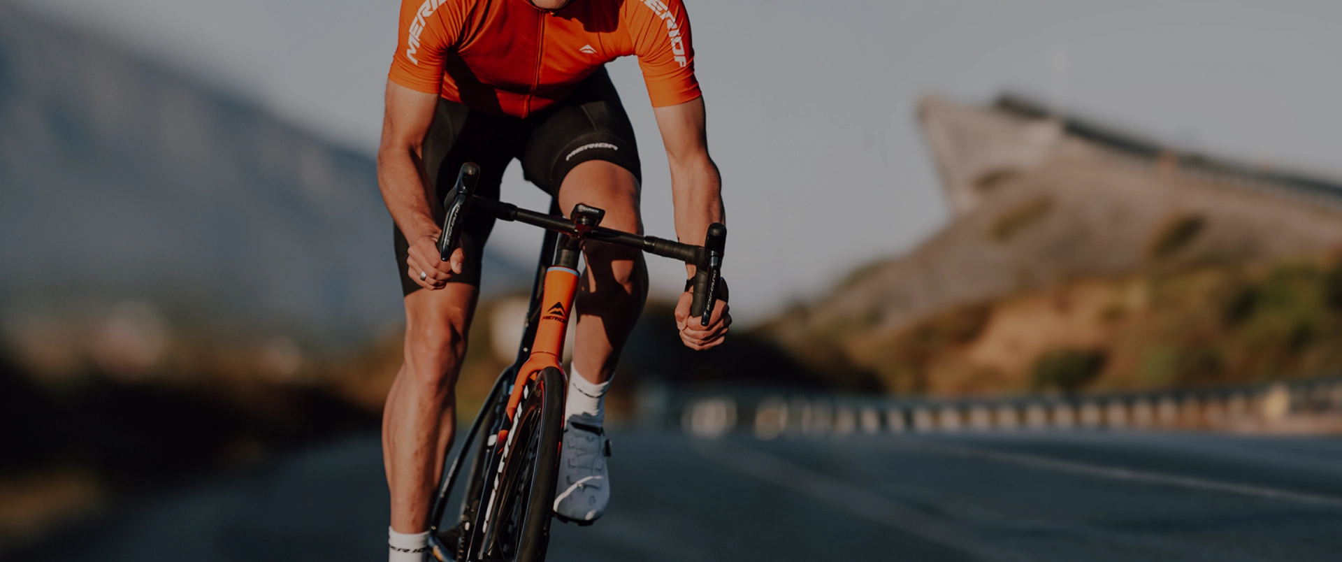 美利達工業股份有限公司